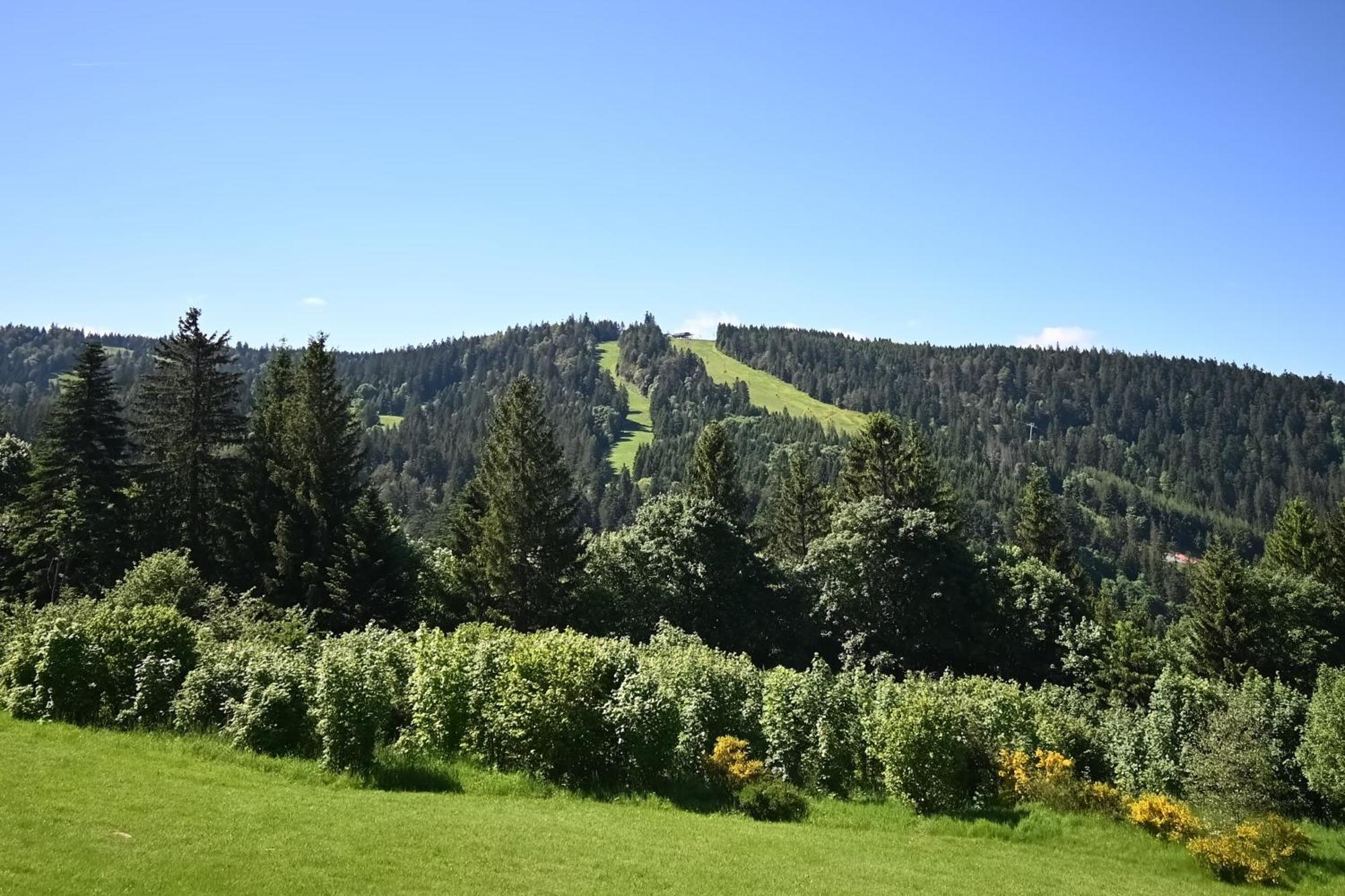 Appartement Le Nid Des Vosges - Appt Vue Montagne à Gérardmer Extérieur photo